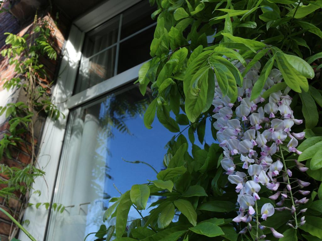 Studio Elisabeth Apartment Брюж Екстериор снимка